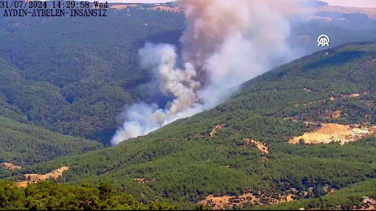 Aydın’ın Çine ilçesinde orman yangını - Resim: 10